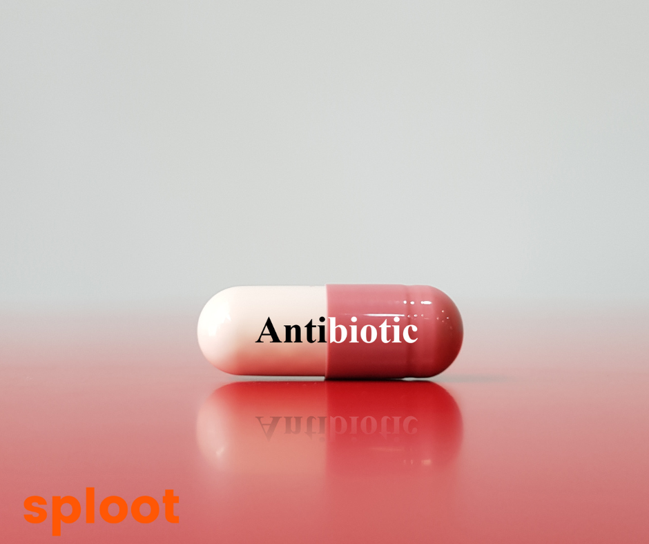 What are some widely used Antibiotics for dogs?