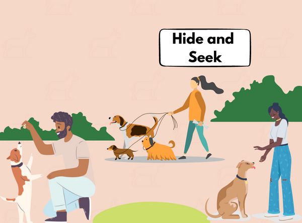 Dog friendly game: Hide & Seek