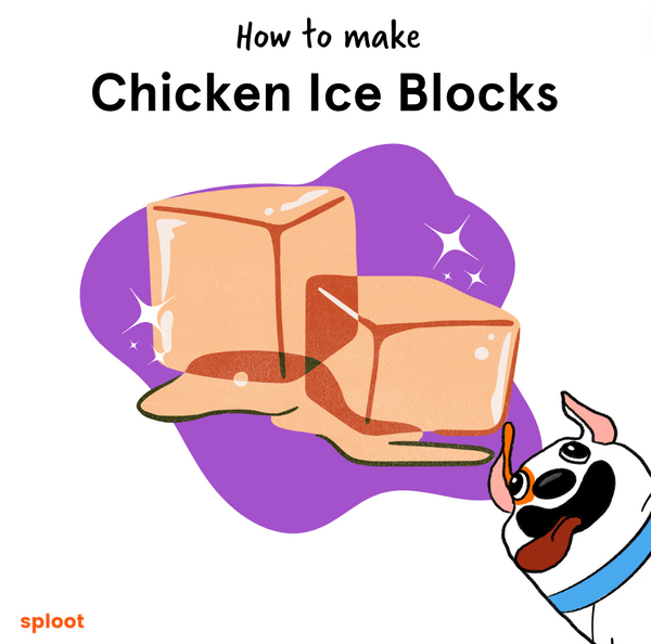 Chicken Ice Blocks