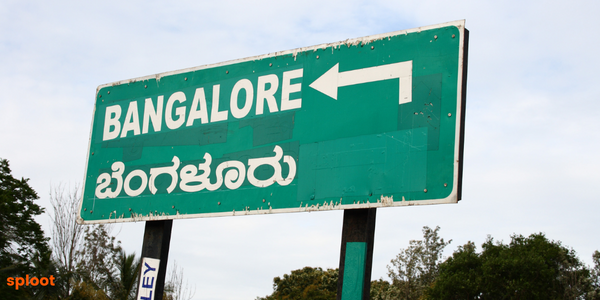A Comprehensive Guide to Dog Licenses and Registration in Bangalore